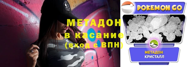 сатива Надым