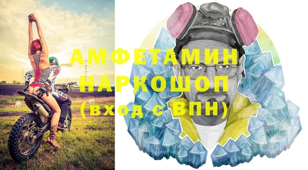 сатива Надым