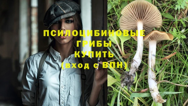 сатива Надым