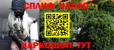 бошки Донской