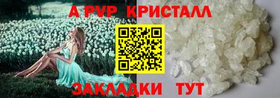 стаф Донецк