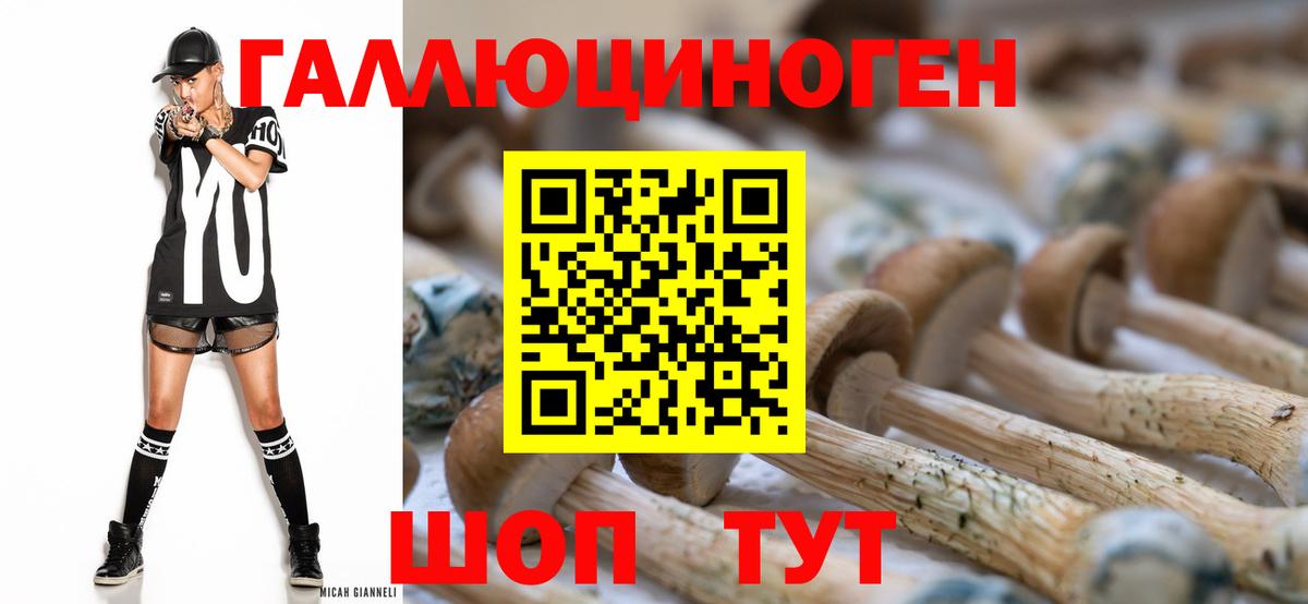 Псилоцибиновые грибы GOLDEN TEACHER Чусовой
