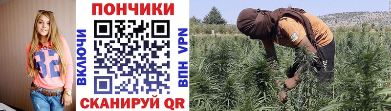МЕГА вход  Чусовой  Канабис Amnesia 